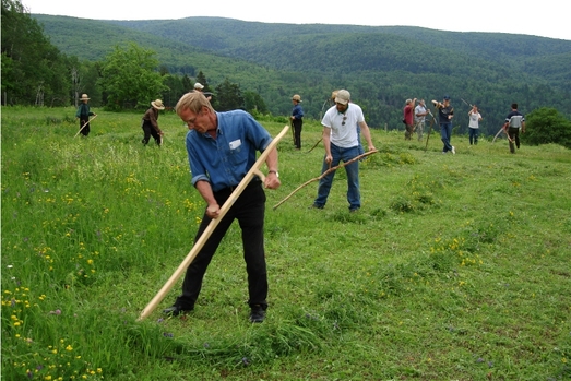 group mowing with a scythe