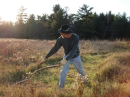 mowing with a scythe