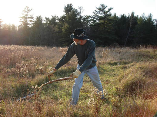 Botan Anderson mowing with a scythe tool.